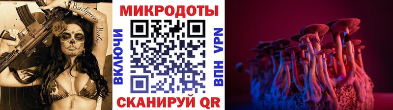 OMG ТОР  Екатеринбург  Псилоцибиновые грибы Psilocybine cubensis 
