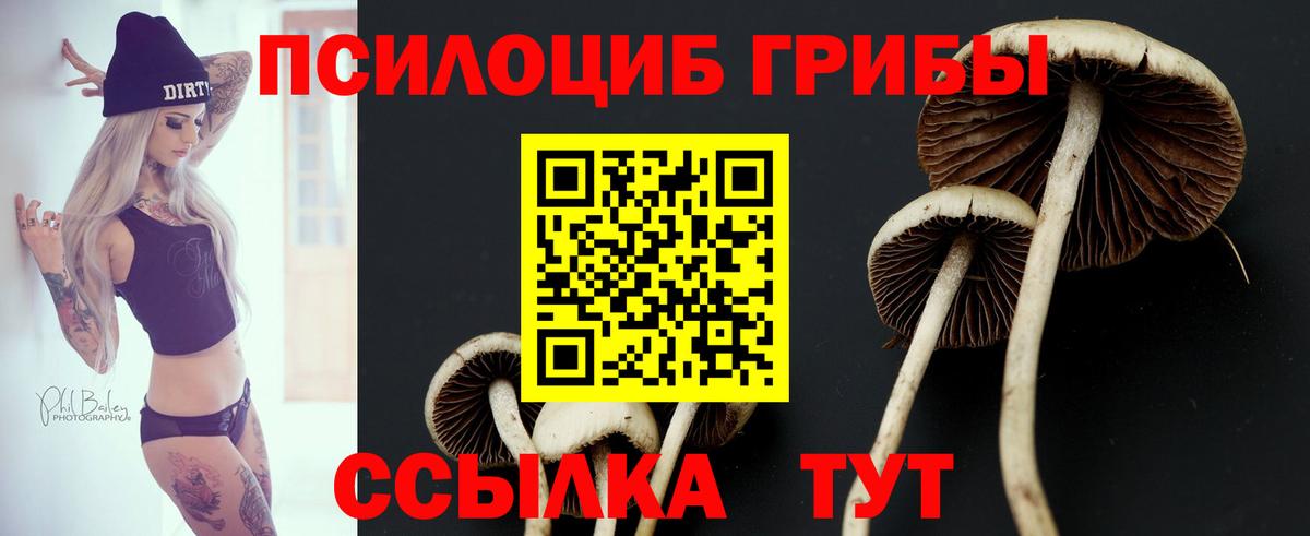 Псилоцибиновые грибы GOLDEN TEACHER Екатеринбург